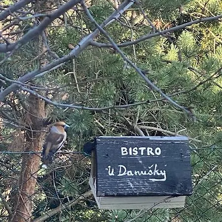 Dana Prázdninový dům *